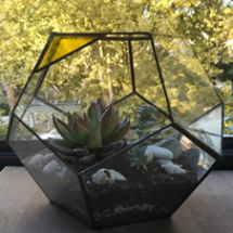 terrari